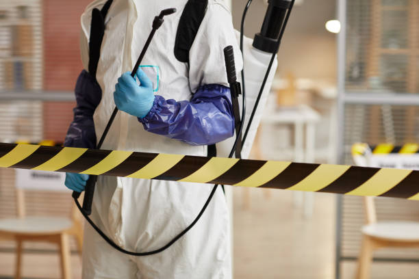 Professional Sewage Cleanup technician working in Trenton, MO